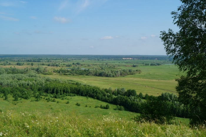     ,   .      . .      .