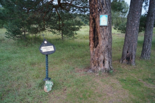 Царский скит. Богородичная аллея