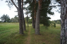 Царский скит. Богородичная аллея. Фото 5