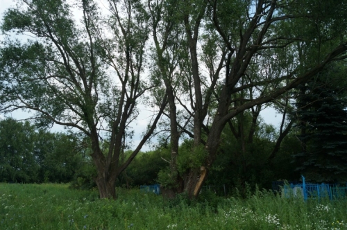 Мусульманское кладбище у села Актуково, от которого начинается дорога к священному камню Тараташ. Фото 2