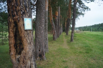 Царский скит. Богородичная аллея. Фото 2