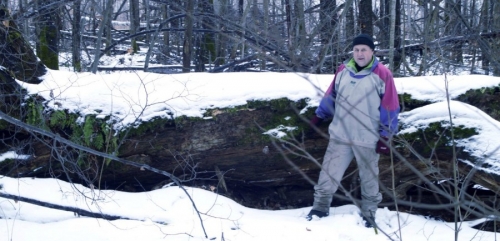 Поверженный дуб - исполин восточнее озера Малое Хохлово