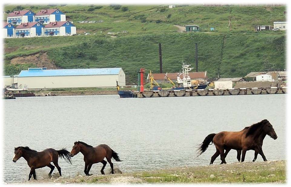 Поход на Курильские острова