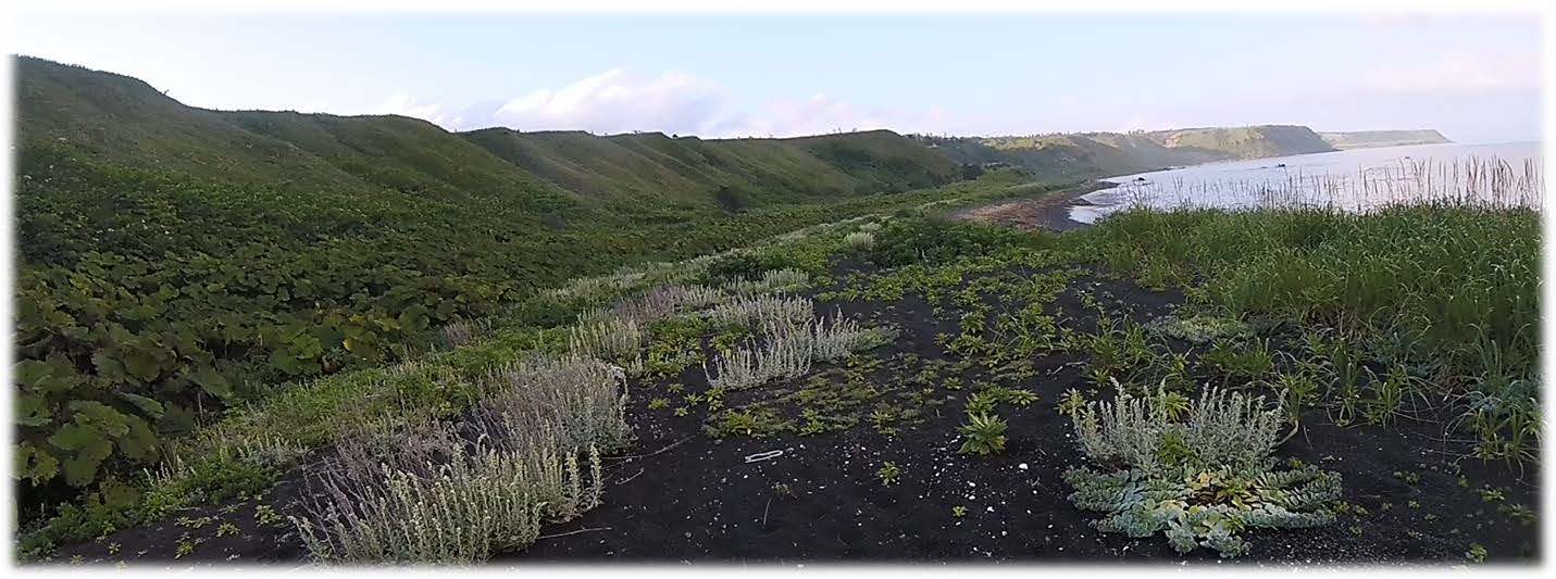 Поход на Курильские острова