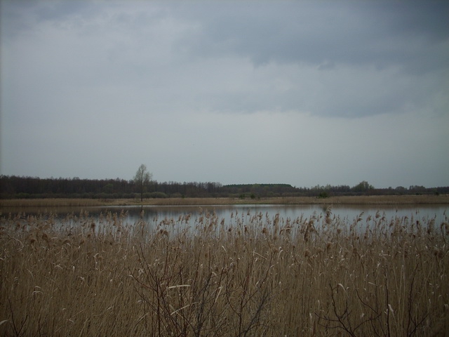 ����� ������