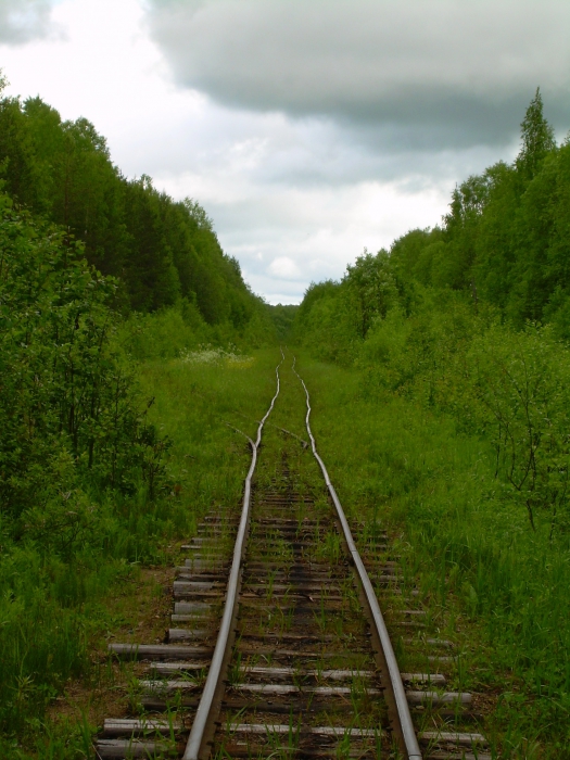 Российские железные дороги - самые прямые дороги в мире