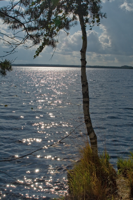 Озеро Большое Плотово, фото 5