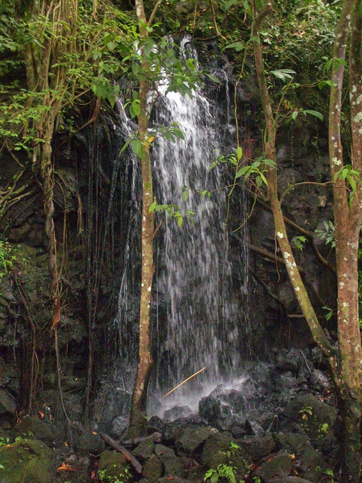 Небольшой водопадик в джунглях