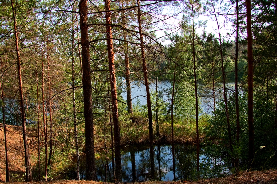 Озеро Большая Кривовка