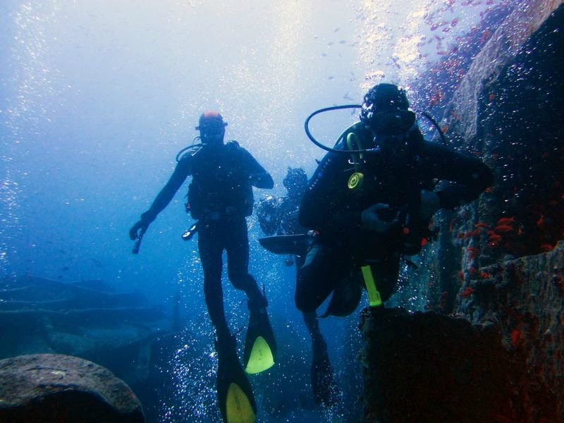 Подводный мир Красного моря (Египет, Шарм эль Шейх.). Фото 58