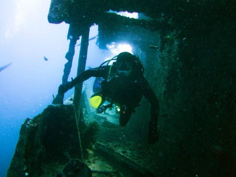 Подводный мир Красного моря (Египет, Шарм эль Шейх.). Фото 60