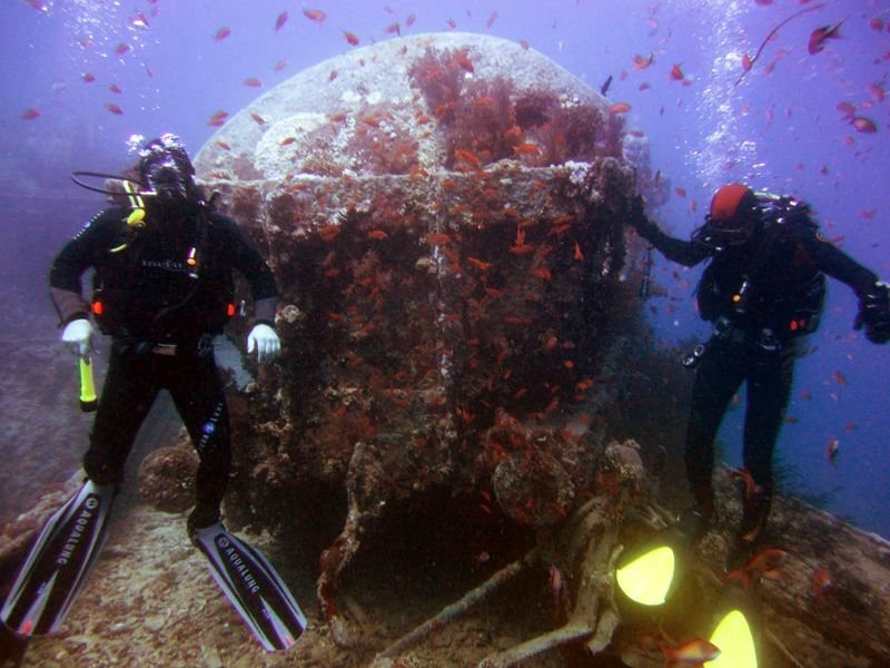 Подводный мир Красного моря (Египет, Шарм эль Шейх.). Фото 61