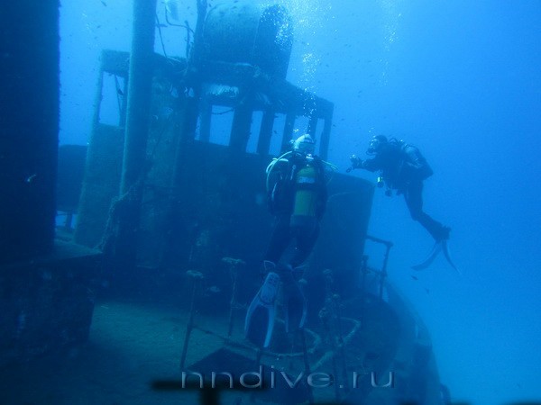 Подводный мир Средиземного моря. Мальта.. Фото 5