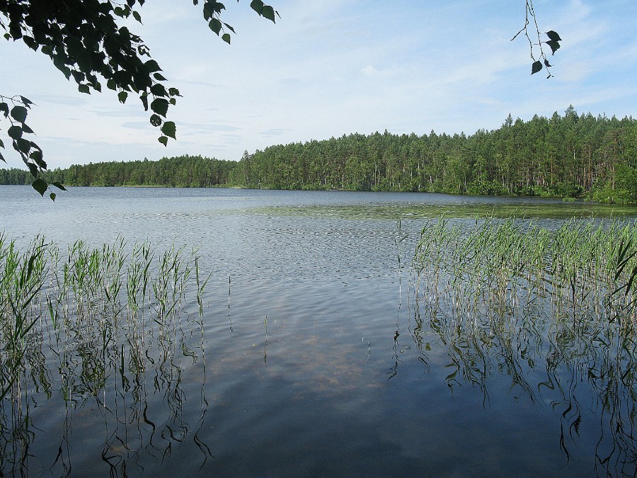 Озеро Большое Плотово. Фото 29