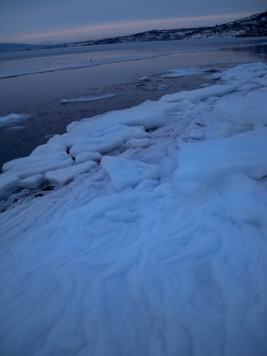 Морской лед
