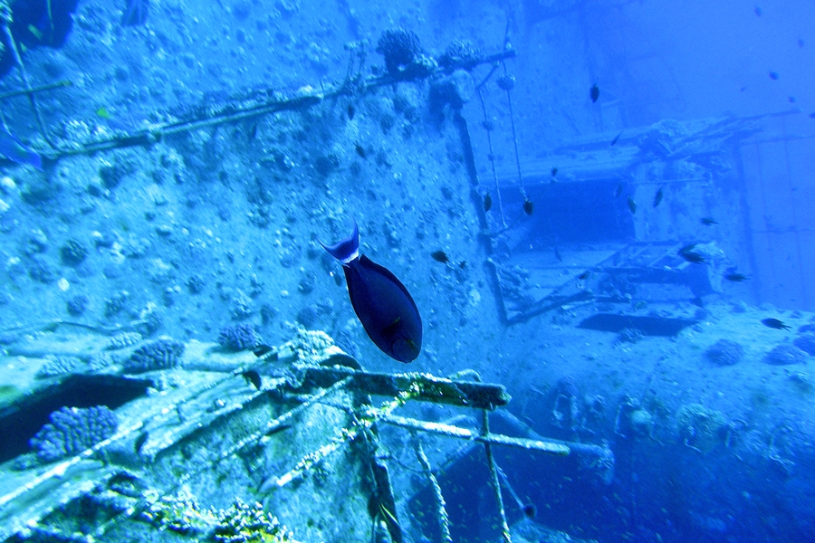 Тистлегорм лежит на глубине около 30 метров