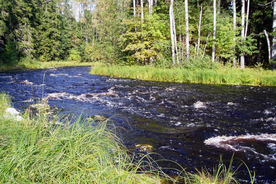 Типичные пороги реки