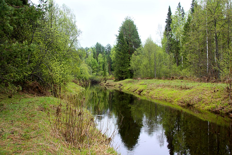 Лапшанга перед поселком Тимариха, фото 1.