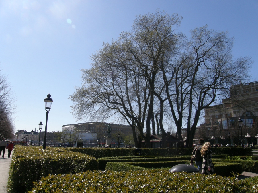 Парк Kungsträdgården. Фото 1