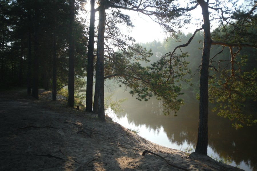 ��������� ����