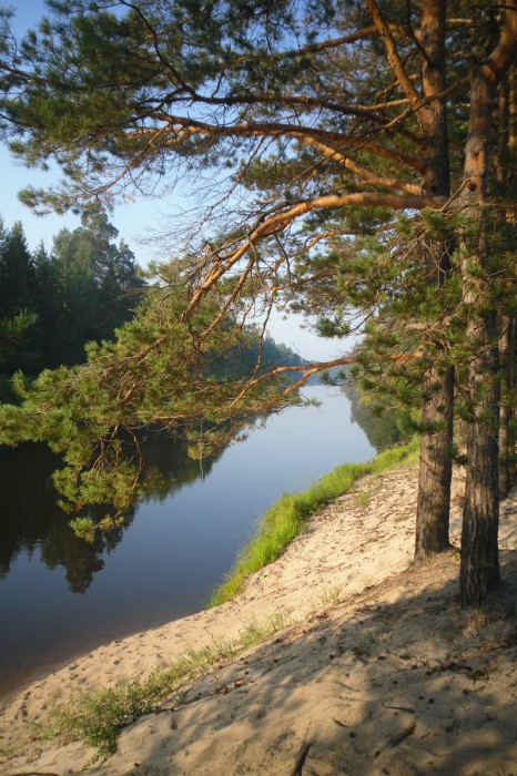 �������