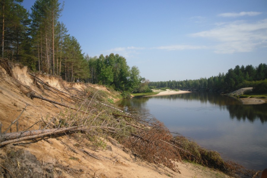 ������ ��������