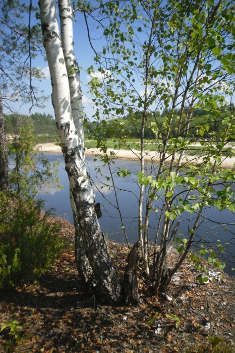 �������