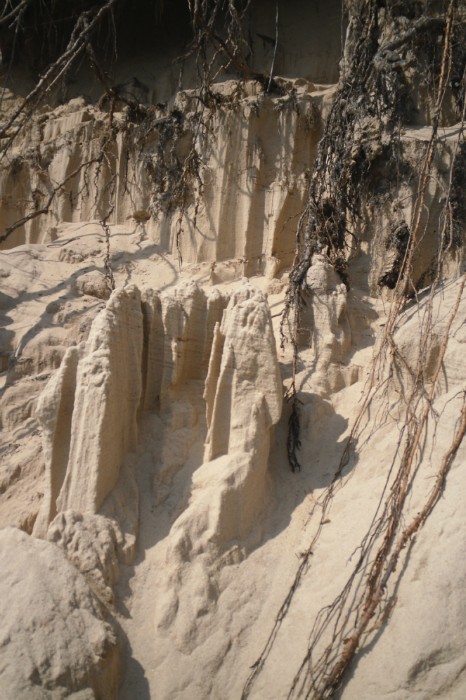 ������� ������ ��������