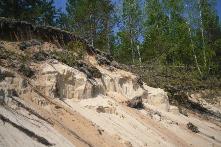 ������� ������ ��������