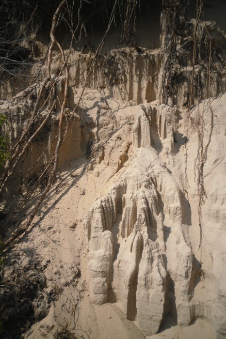 ������� ������ ��������