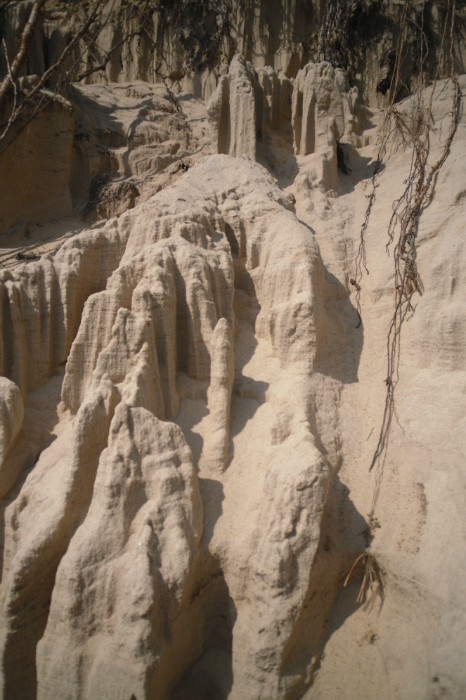 ������� ������ ��������