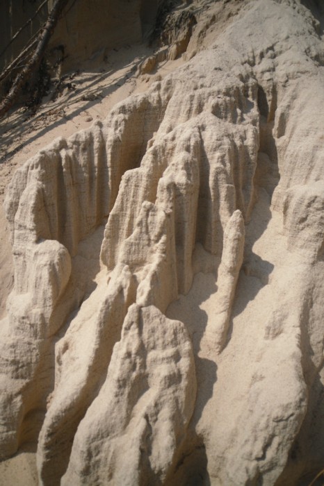 ������� ������ ��������