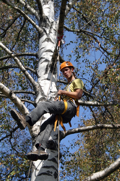 ������������ �� ������� �������������, ���� 1