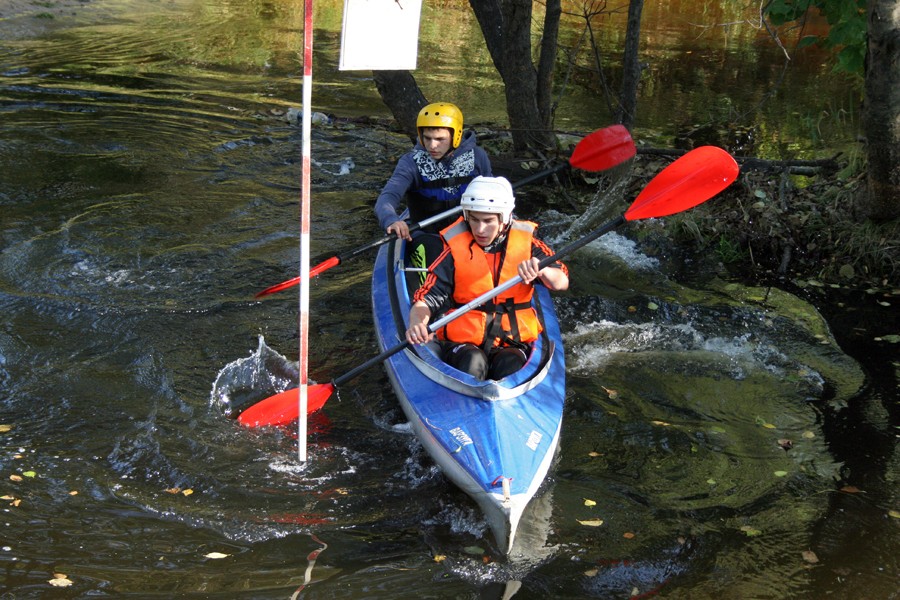 ��������� ������������ �� ���, ���� 16