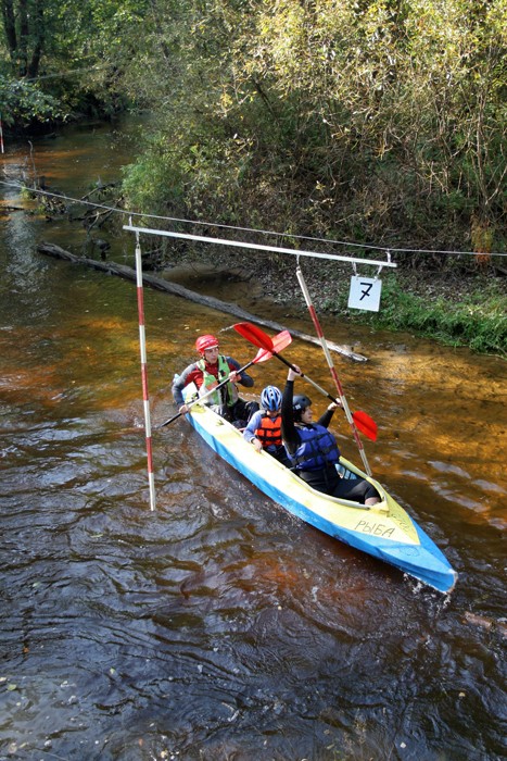 ��������� ������������ �� ���, ���� 20