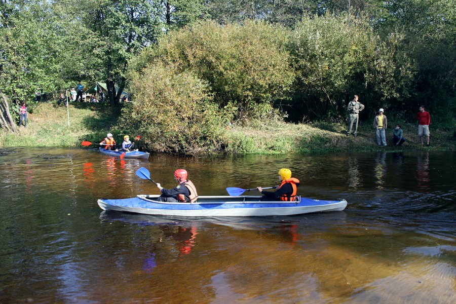 ��������� ������������ �� ���, ���� 31