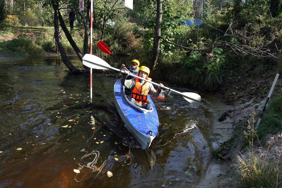 ��������� ������������ �� ���, ���� 60