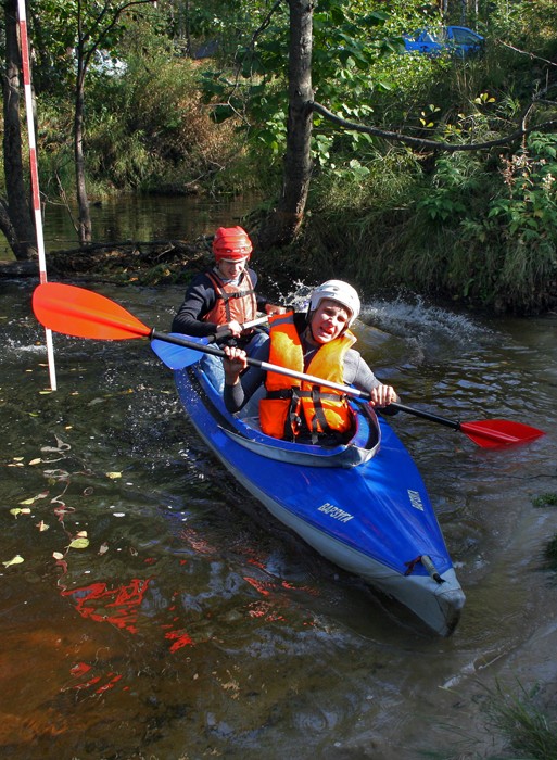 ��������� ������������ �� ���, ���� 65