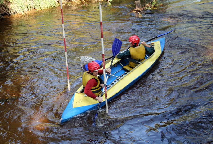 ��������� ������������ �� ���, ���� 96