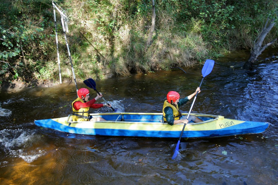 ��������� ������������ �� ���, ���� 99