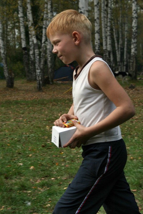 ����������� �������� � �������� ������������, ���� 29