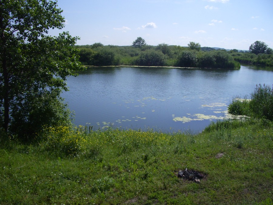 Небольшое озерцо примыкающее с востока к оз.  Пичары (Пичиары) (Бутурлинский район)