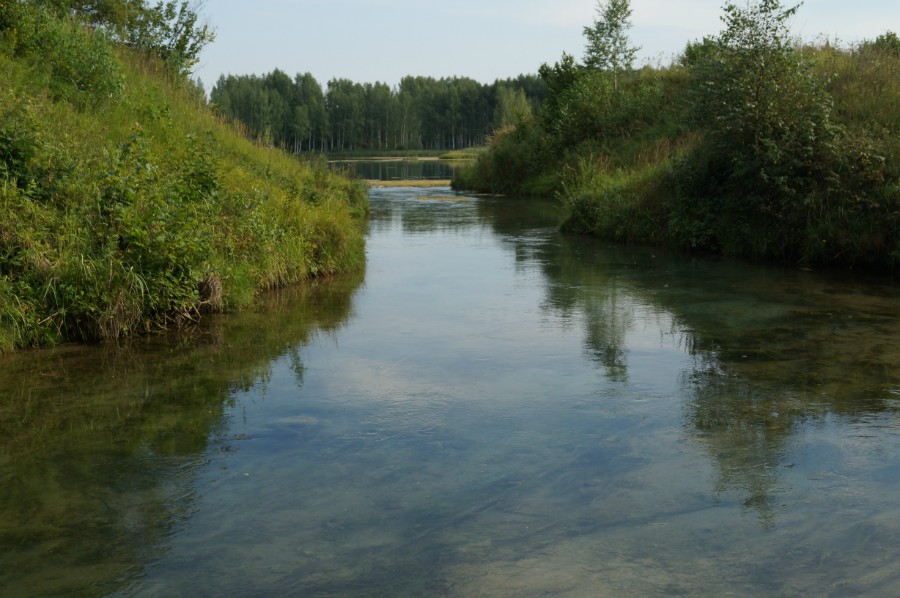 река суринь