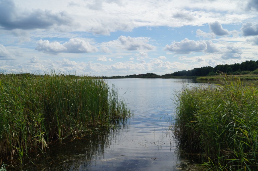 Озеро Тумановское