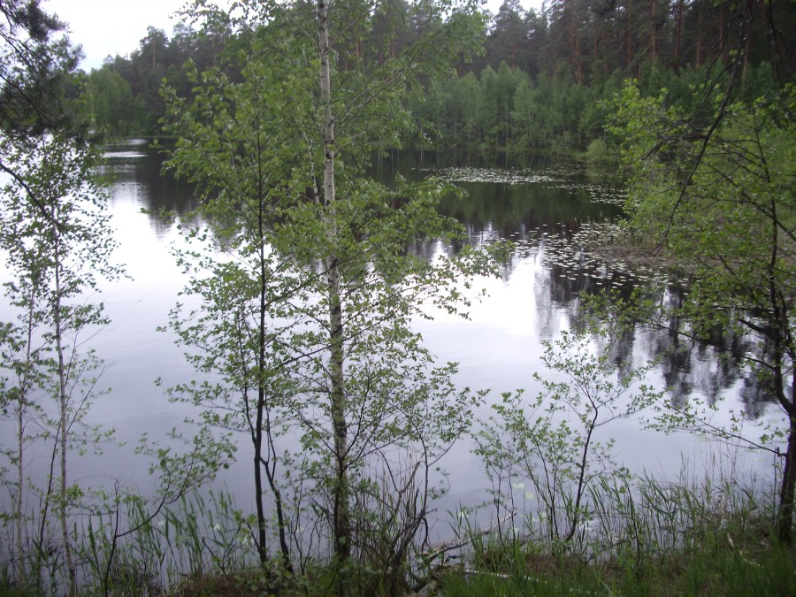 Озеро Большое (Киркидеево), фото 3
