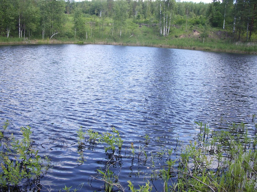 Озеро Черное (Шатковский район)