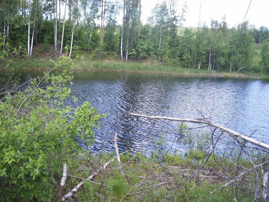 Озеро Черное (Шатковский район), фото 2