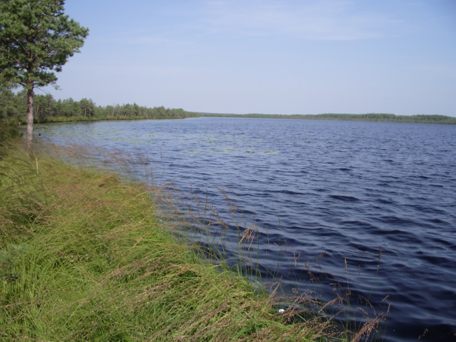 Озеро Варех (Володарский район)
