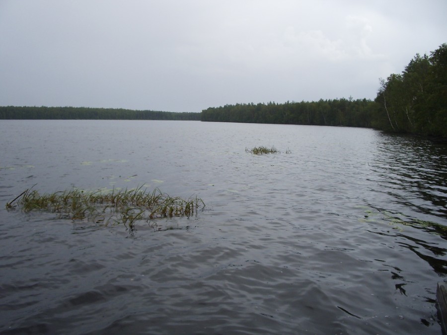 Озеро Великое (Гороховецкий район), фото 1