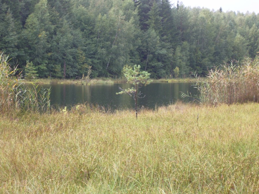 Озеро Боброво